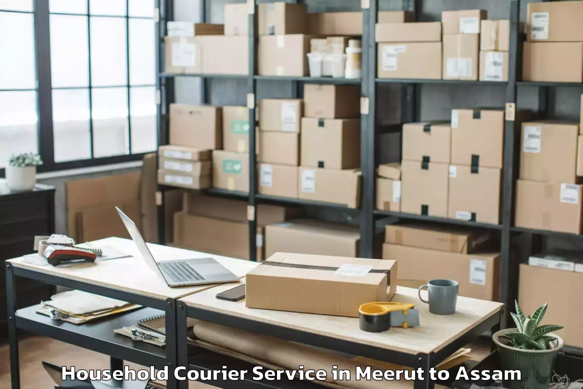 Hassle-Free Meerut to Agamoni Household Courier